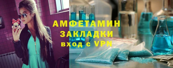 стафф Алзамай