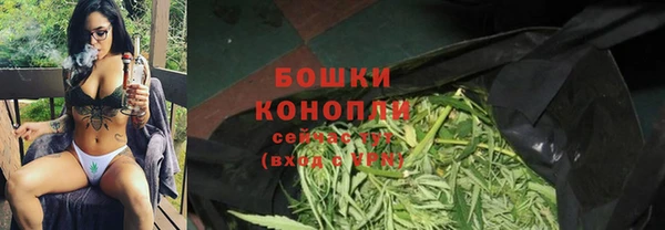 мяу мяу мука Аркадак