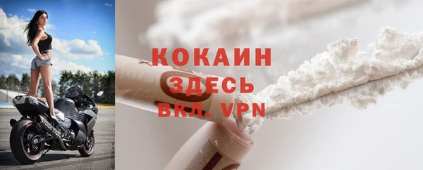 мяу мяу мука Аркадак