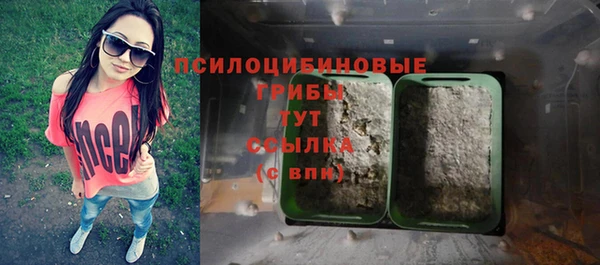 прущие крисы Армянск