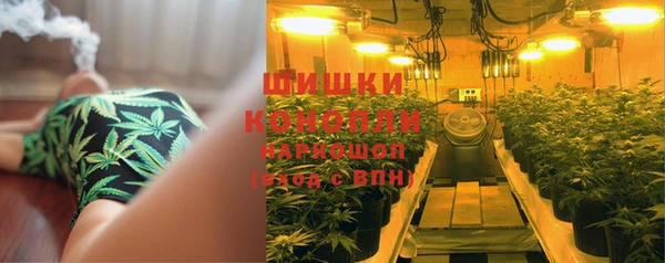прущие крисы Армянск
