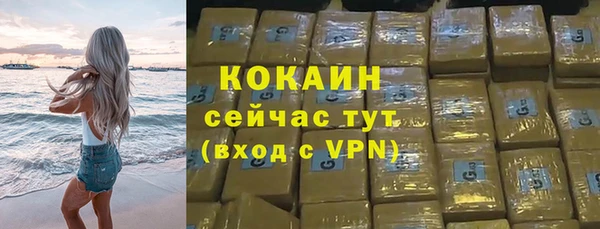 мяу мяу мука Аркадак