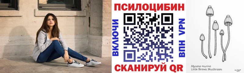 Псилоцибиновые грибы ЛСД  наркота  Багратионовск 